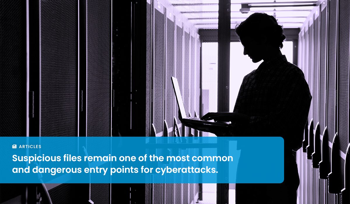 Sandboxing 101: Validating Suspicious Files Without Risk