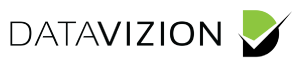 DataVizion logo